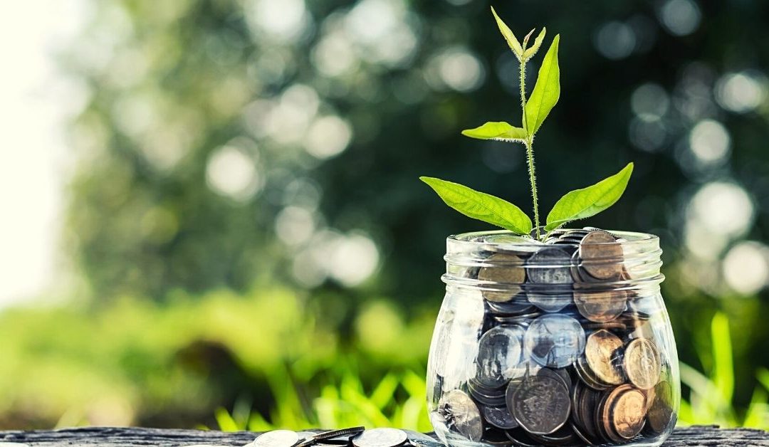 Naše peníze jako náš (jediný účinný) volební lístek