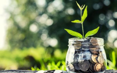 Naše peníze jako náš (jediný účinný) volební lístek